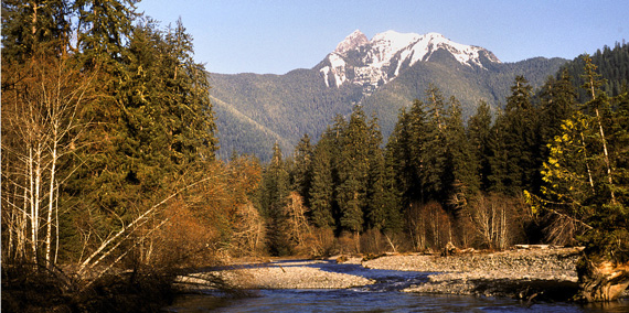 Color photo of South Fork of Hoh River on Olympic Peninsula
