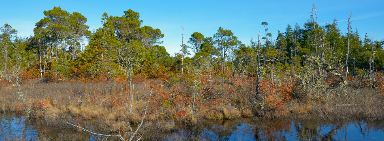 Color photo of North Bay Natural Area Preserve