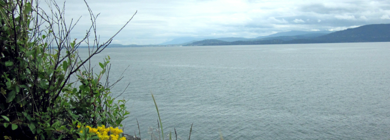 A view of Puget Sound.