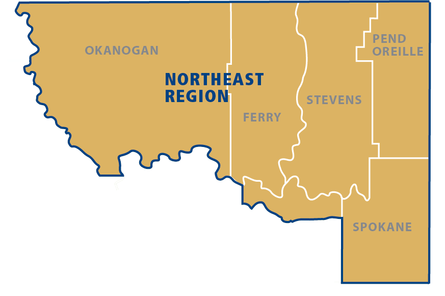 click to enlarge NE Region Map with Counties