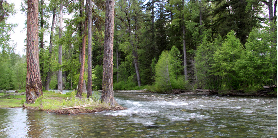 Color photo of River in Teanaway Community Forest