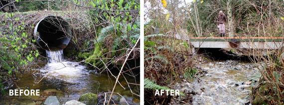 before and after fish barrier removal
