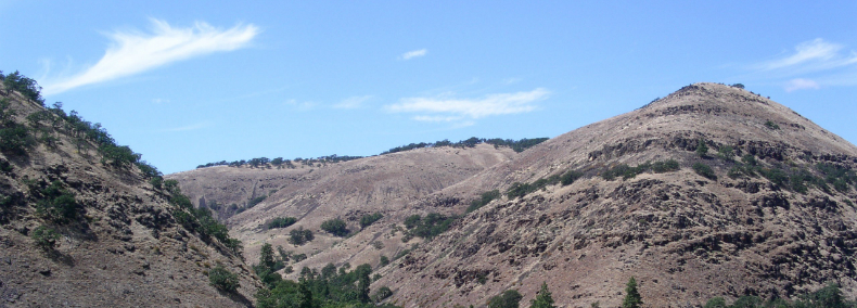 native grasslands and oak - pine savannas found in south-central Washington