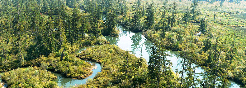 Chehalis River Surge Plain