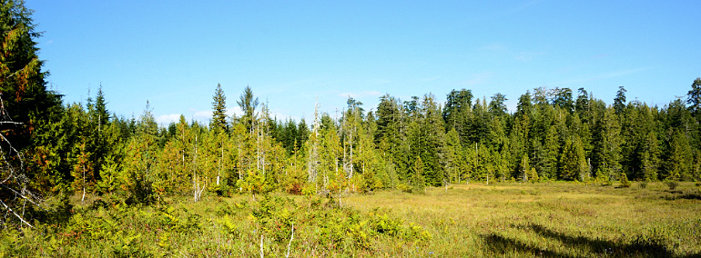 Color photo of Clearwater Corridor Natural Resources Conservation Area (NRCA)
