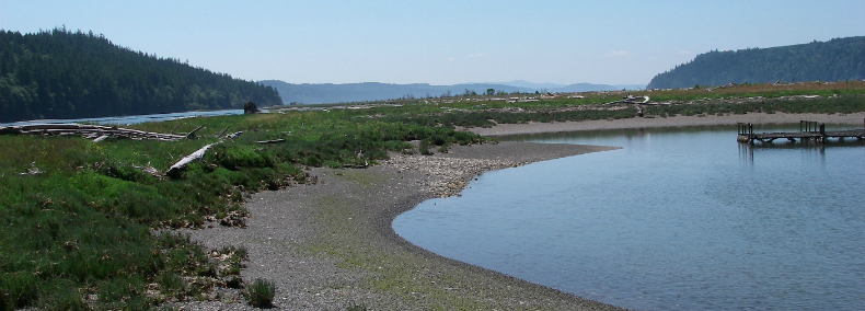  intact salt marsh and sand spit plant communities