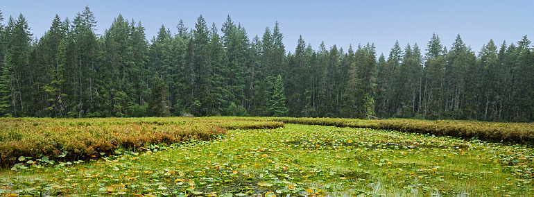 Color photo of Ink Blot Natural Area Preserve (NAP)