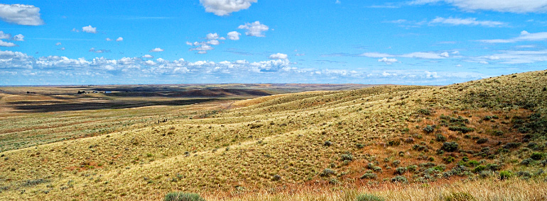 Color photo of Kahlotus Natural Area Preserve (NAP)