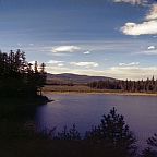 A mosaic of wetland habitats.