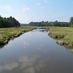 intact tidal river system