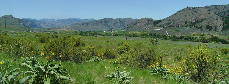 Color photo of Riverside Breaks Natural Area Preserve (NAP)