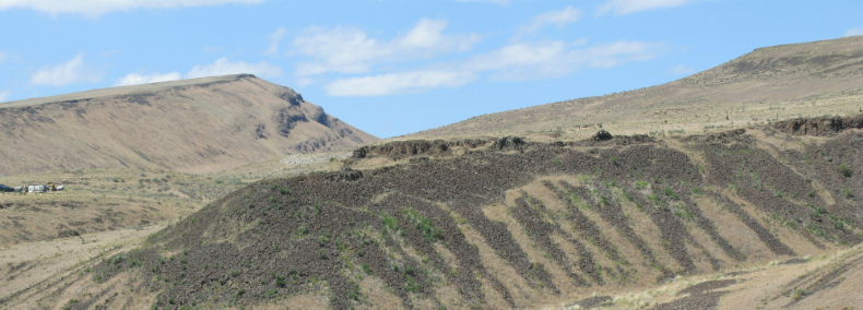 Selah Cliffs Natural Area Preserve (NAP) was established in 1993.