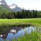 Wetland and sphagnum bog situated in a mountainous area near Mt. Baker.