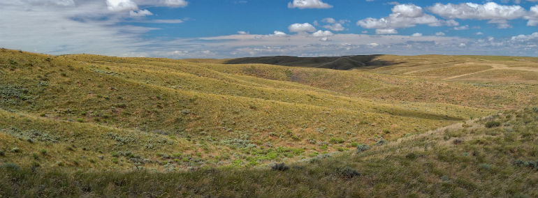 Palouse prairie remnant at Kahlotus NAP