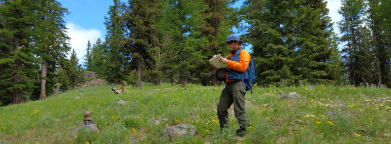 Montane grassland at Judy's Tamarack Park