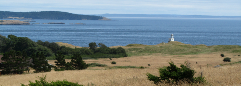 Color photo of Cattle Point and lighthouse