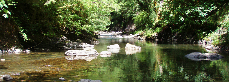 Clearwater Corridor - view of the stream