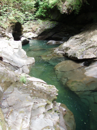 clear stream water flowing between the rocks