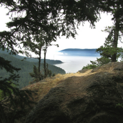 View from a vista looking out over the water.