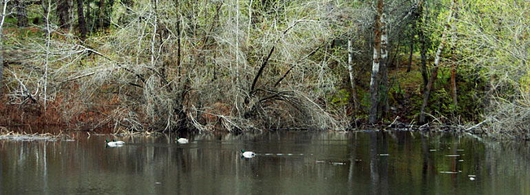 Color photo of Dishman Hills Natural Resources Conservation Area (NRCA)