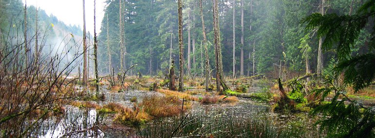 Color photo of Lake Louise Natural Resources Conservation Area