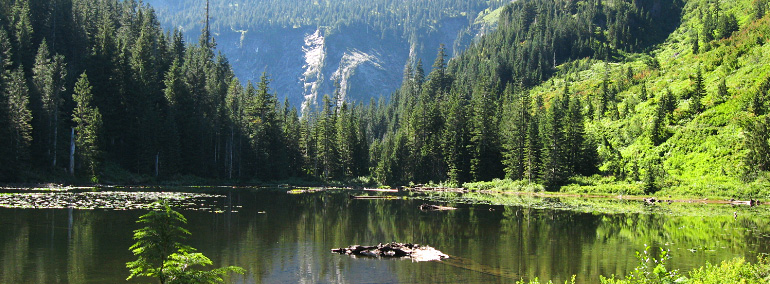 Color photo of Morning Star Natural Resource Conservation Area (NRCA)