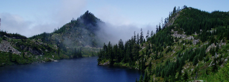 Lake, old growth forest, wildflower communities, and habitat for mountain goat and other species of wildlife.