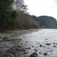 beach and coast line