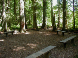 log seating at a recreation site