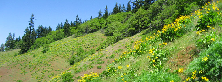 Color photo of White Salmon Oak Natural Resources Conservation Area (NRCA)