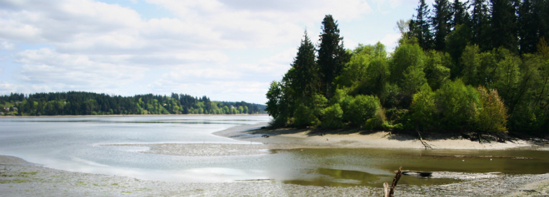 A view of Woodard Bay at low tide.