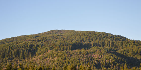 Darrington mountain bike
