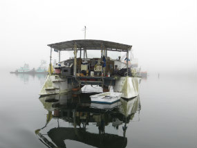 derelict vessel