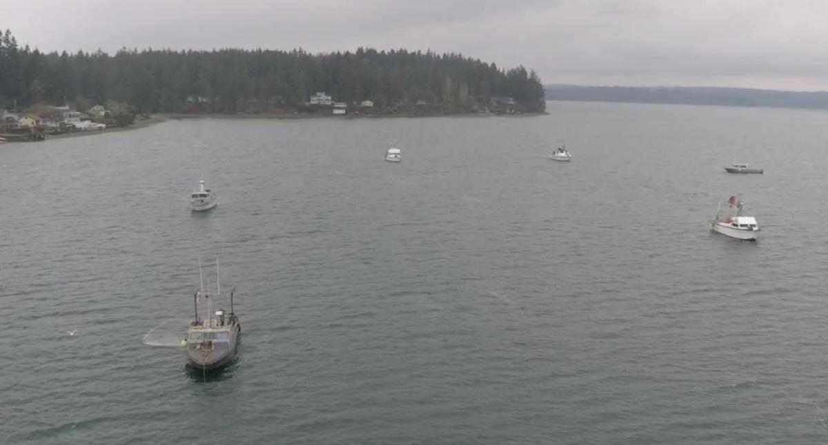 View of the bay with boats.