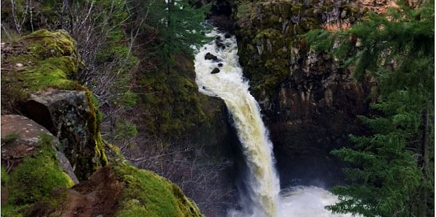 Outlet Falls in Klickitat Community Forest