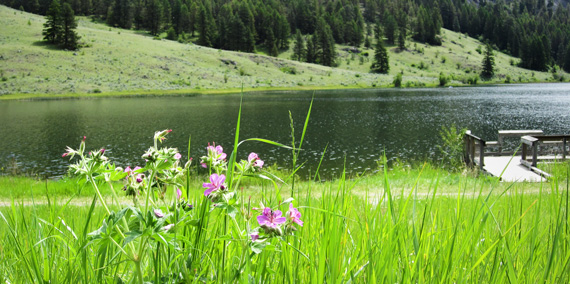 Color Photo of lake in Loomis State Forest