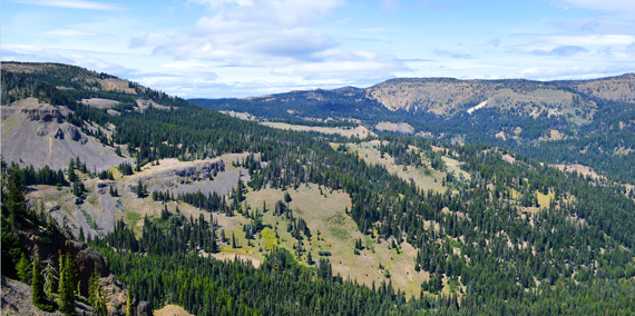 Color Photo of Eagle Nest Vista in Ahtanum State Forest