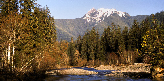 Hoh river camping top