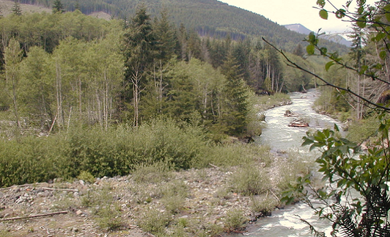 River with channel migration zone