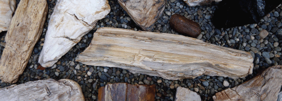 Red Top Mountain WA finding blue grey agates and a giant geode