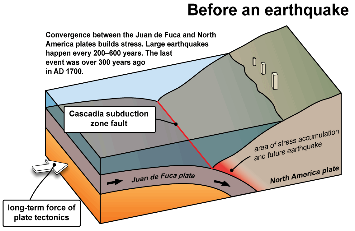 how tsunamis form