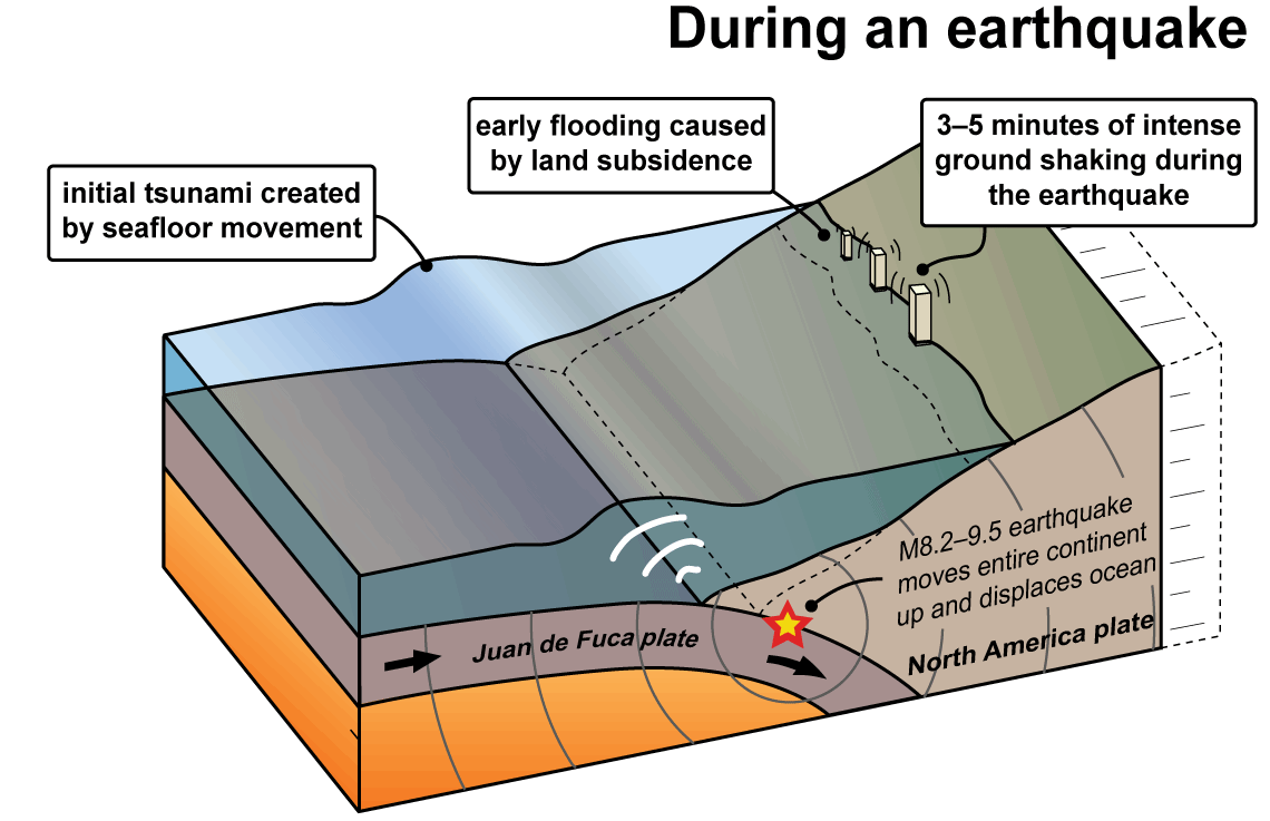 Image result for How earthquake occurs. use diagrams to show