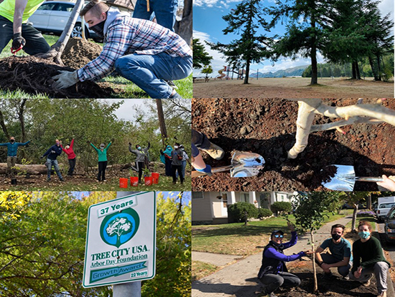several small images of urban tree planting events