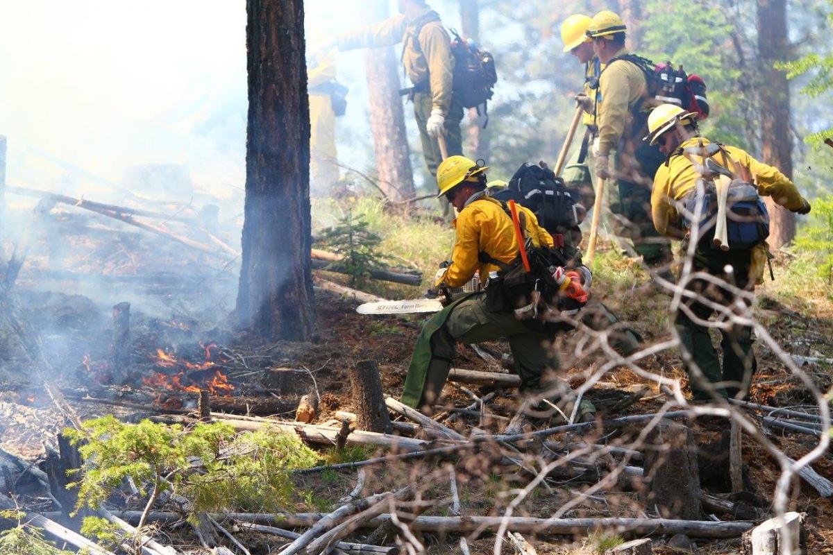Firefighter Jobs and Providing Equipment/Services
