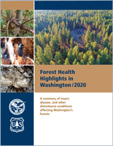 Cover of the 2020 Forest Health Highlights report