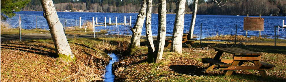 Black Lake and stream in winter, Olympia, Thurston County Washington