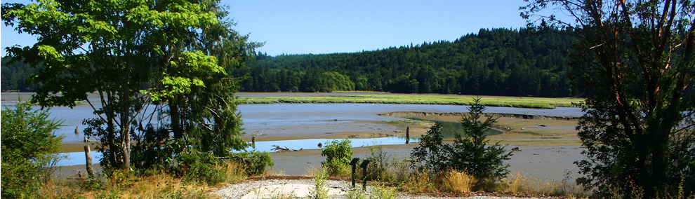 Kennedy Creek Natural Area Preserve (NAP) during low tide. Mudflats are visible.