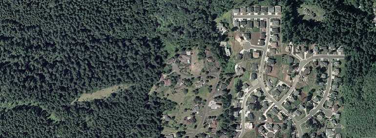 development that infringes on forestland housing development sprawl into forestland