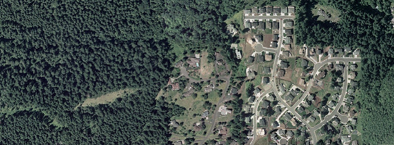 housing development sprawl into forestland