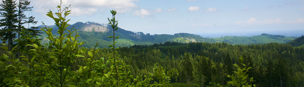 A landscape of DNR land